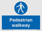 MA5289: Pedestrian walkway