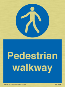 MA5289: Pedestrian walkway