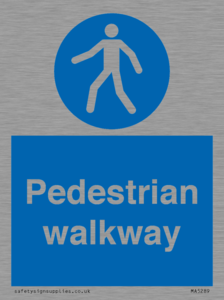 MA5289: Pedestrian walkway