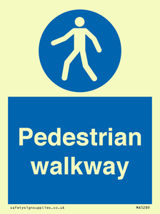 MA5289: Pedestrian walkway
