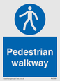 MA5289: Pedestrian walkway