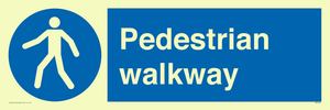 MA5289: Pedestrian walkway