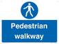 MA5289: Pedestrian walkway
