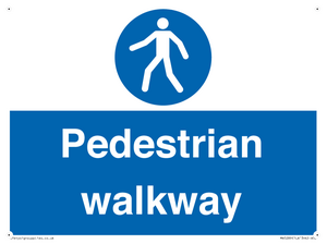 MA5289: Pedestrian walkway