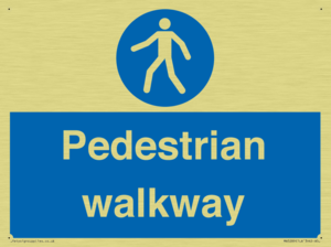 MA5289: Pedestrian walkway