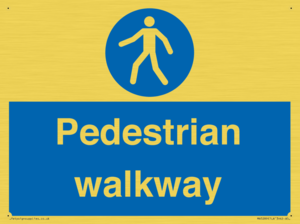 MA5289: Pedestrian walkway