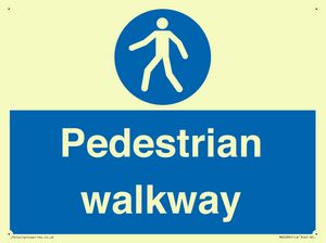 MA5289: Pedestrian walkway
