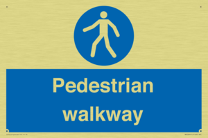 MA5289: Pedestrian walkway