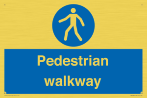 MA5289: Pedestrian walkway