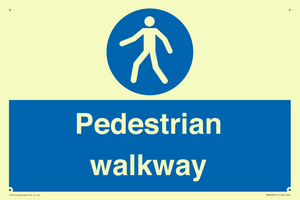 MA5289: Pedestrian walkway