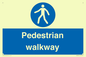 MA5289: Pedestrian walkway