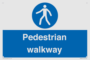 MA5289: Pedestrian walkway