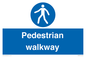 MA5289: Pedestrian walkway