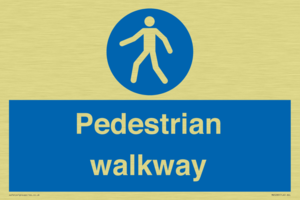 MA5289: Pedestrian walkway