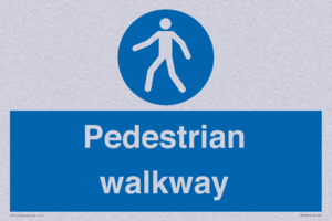 MA5289: Pedestrian walkway