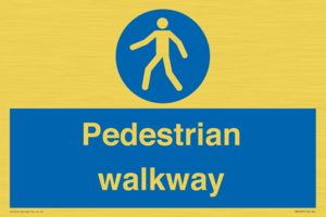 MA5289: Pedestrian walkway