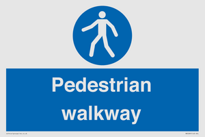 MA5289: Pedestrian walkway