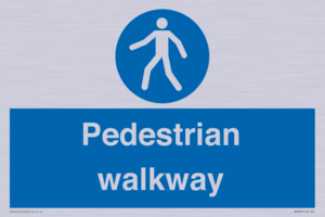 MA5289: Pedestrian walkway
