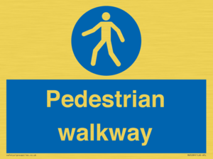 MA5289: Pedestrian walkway