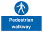 MA5289: Pedestrian walkway