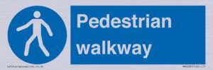MA5289: Pedestrian walkway