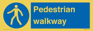 MA5289: Pedestrian walkway
