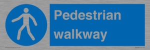 MA5289: Pedestrian walkway
