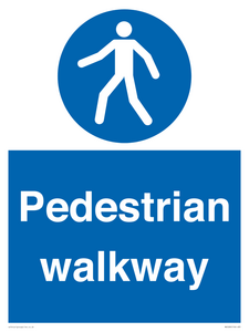 MA5289: Pedestrian walkway