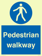 MA5289: Pedestrian walkway
