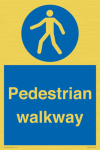MA5289: Pedestrian walkway