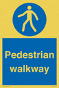 MA5289: Pedestrian walkway