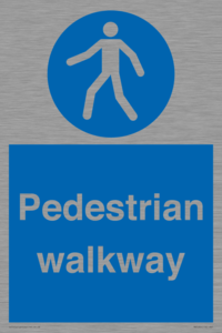 MA5289: Pedestrian walkway
