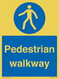 MA5289: Pedestrian walkway