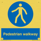 MA5289: Pedestrian walkway