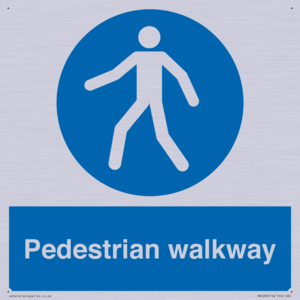 MA5289: Pedestrian walkway
