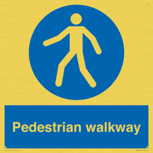 MA5289: Pedestrian walkway
