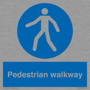 MA5289: Pedestrian walkway