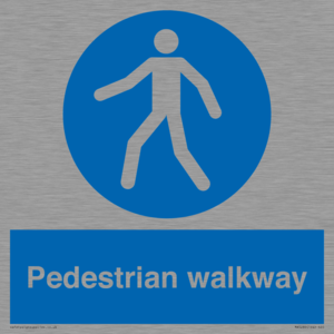 MA5289: Pedestrian walkway