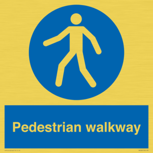 MA5289: Pedestrian walkway
