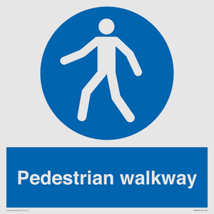 MA5289: Pedestrian walkway
