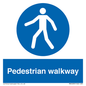 MA5289: Pedestrian walkway
