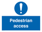 MA5438: Pedestrian access