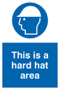 MC523: this is a hard hat area