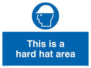 MC523: this is a hard hat area
