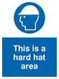 MC523: this is a hard hat area