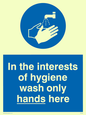 MH209: Wash only hands here