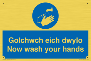 MH930: golchwch eich dwylo