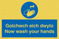 MH930: golchwch eich dwylo