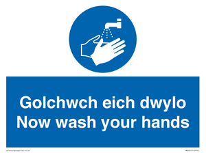 MH930: golchwch eich dwylo