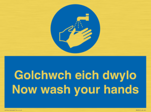 MH930: golchwch eich dwylo